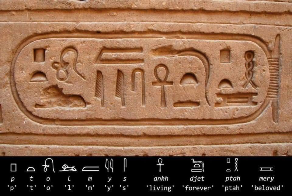 Erki Guest House Abu Simbel Exterior photo